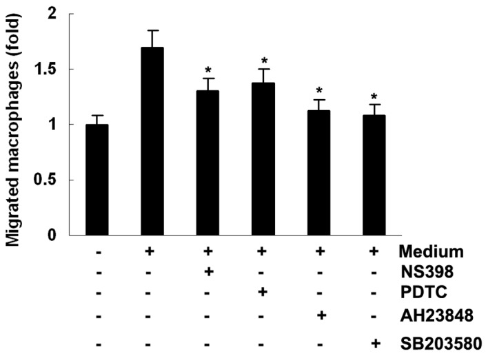 Figure 6.