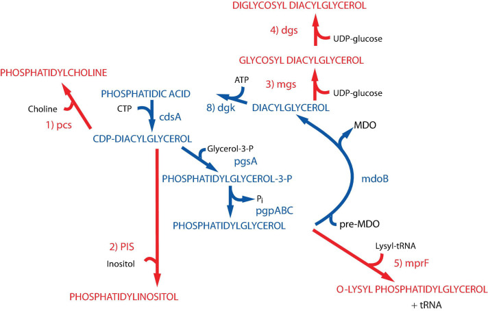 FIGURE 2