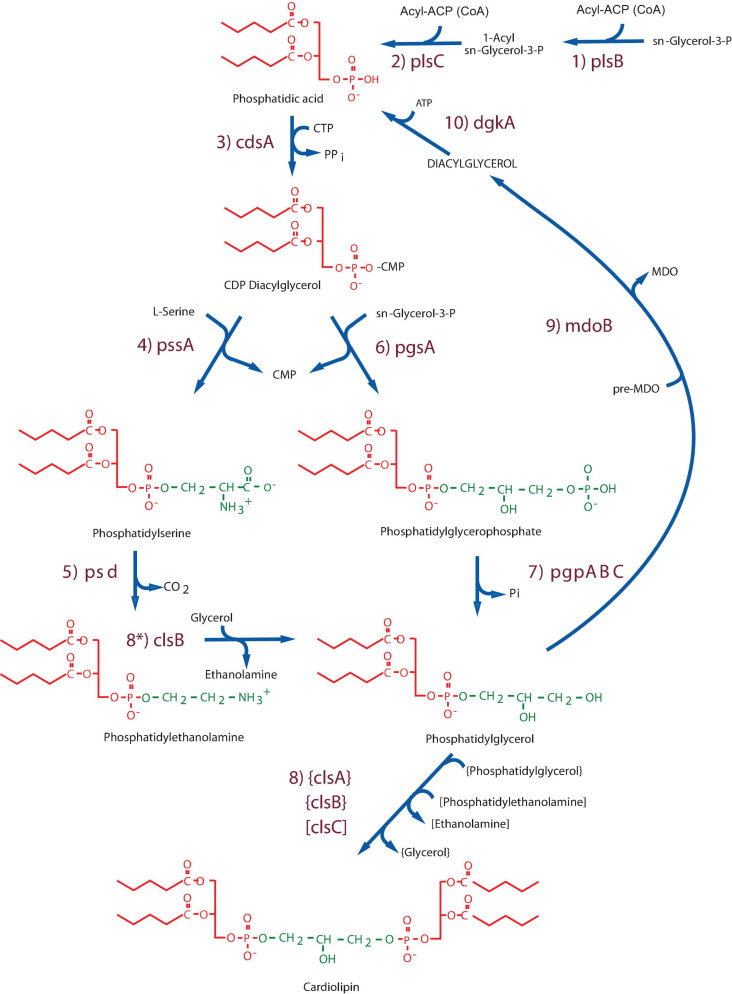 FIGURE 1