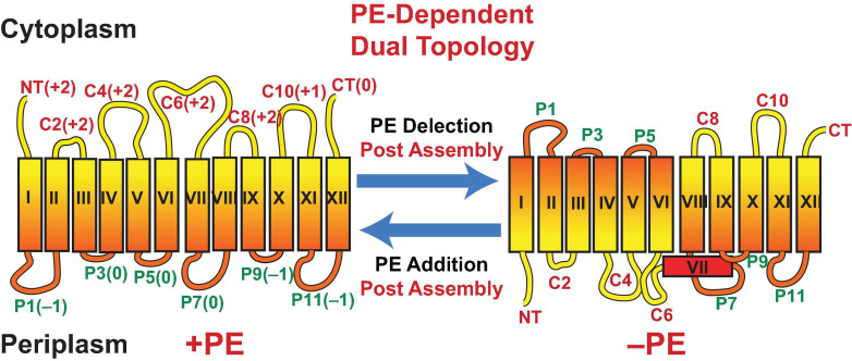 FIGURE 3