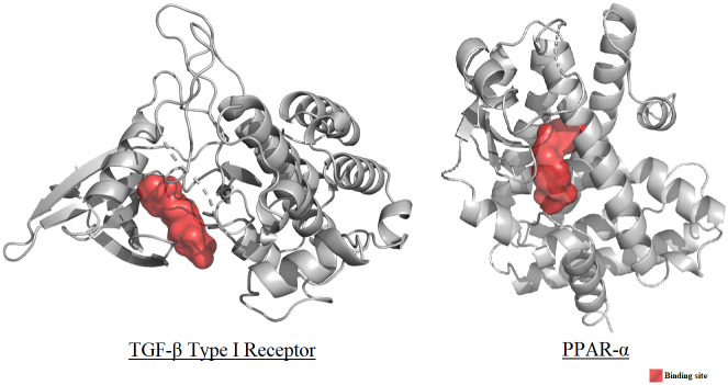 Fig 18