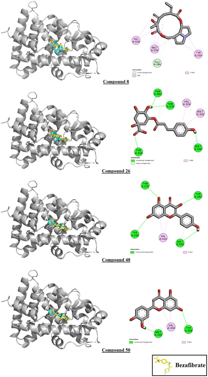 Fig 21