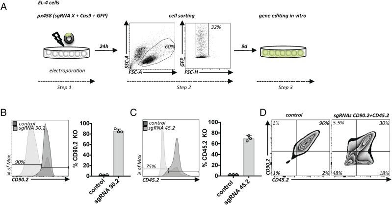 FIGURE 1.