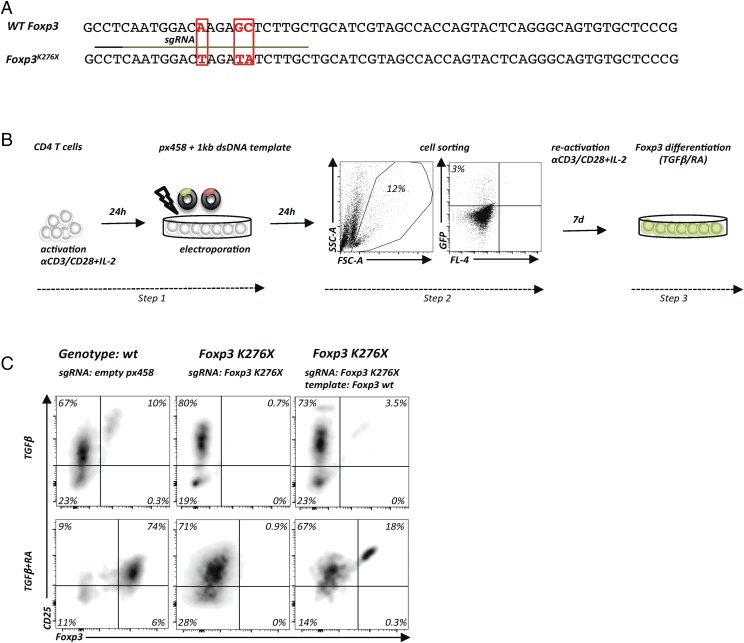 FIGURE 6.