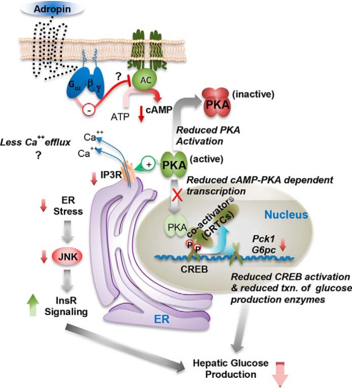 Figure 10.