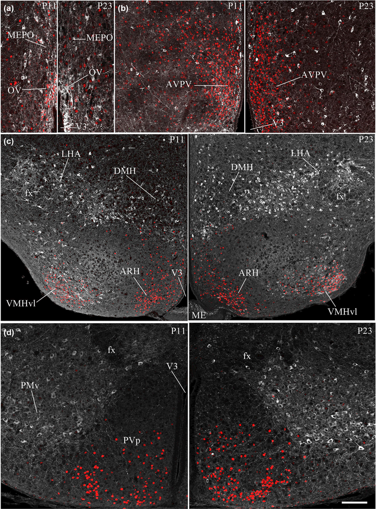 FIGURE 3