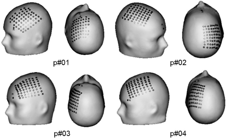 Fig. 1.