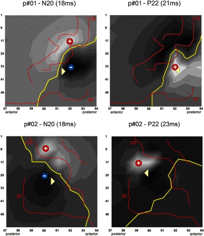 Fig. 6.