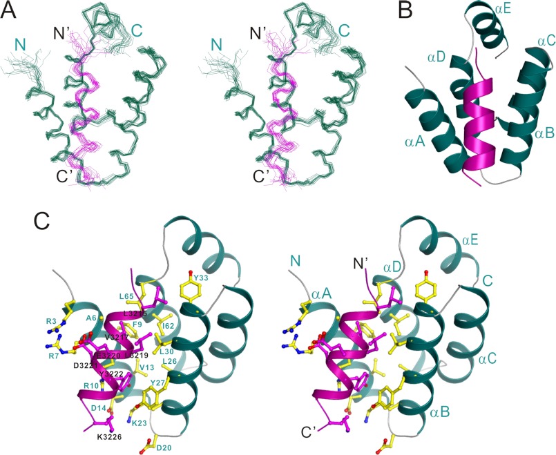 FIGURE 2.