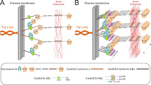 FIGURE 7.