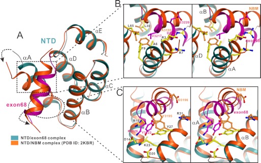 FIGURE 3.