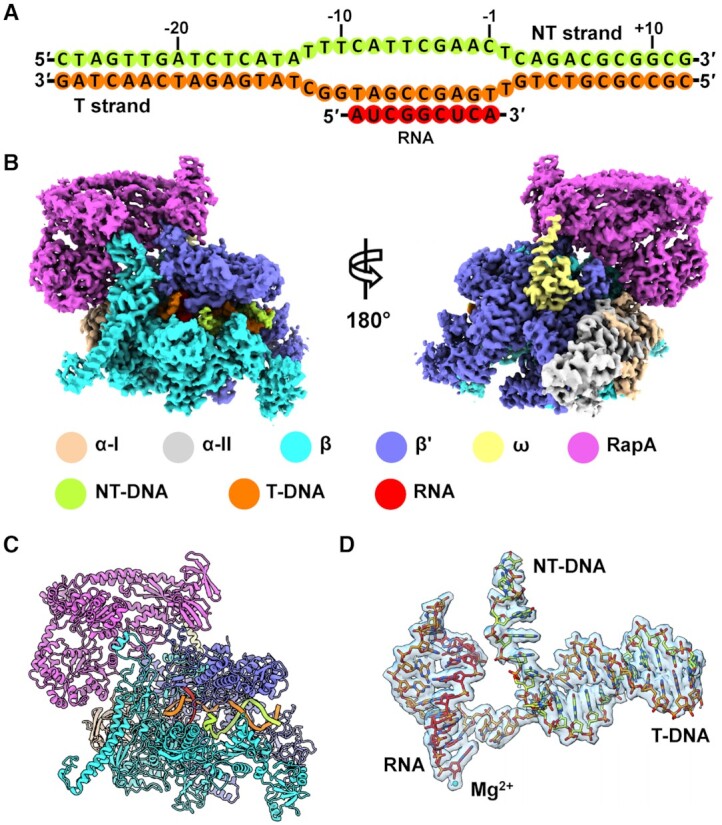 Figure 1.