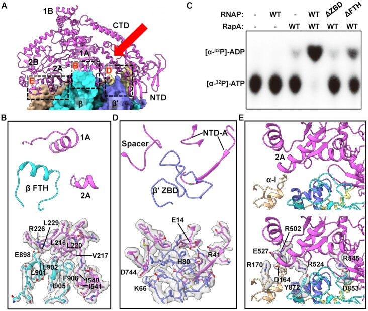 Figure 3.