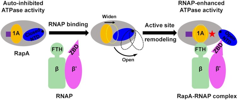 Figure 5.