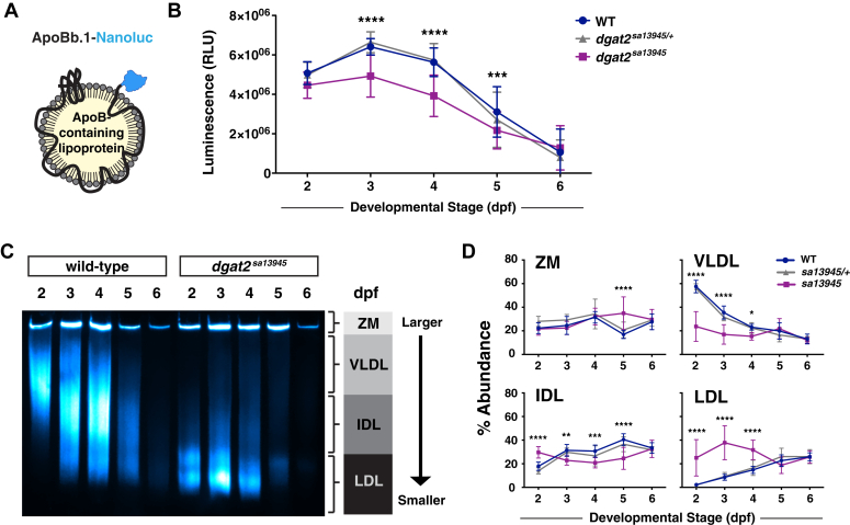 Figure 4