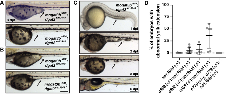 Figure 7