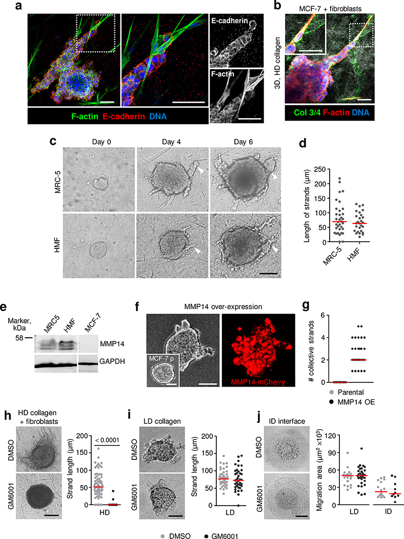 Extended Data Fig. 3.