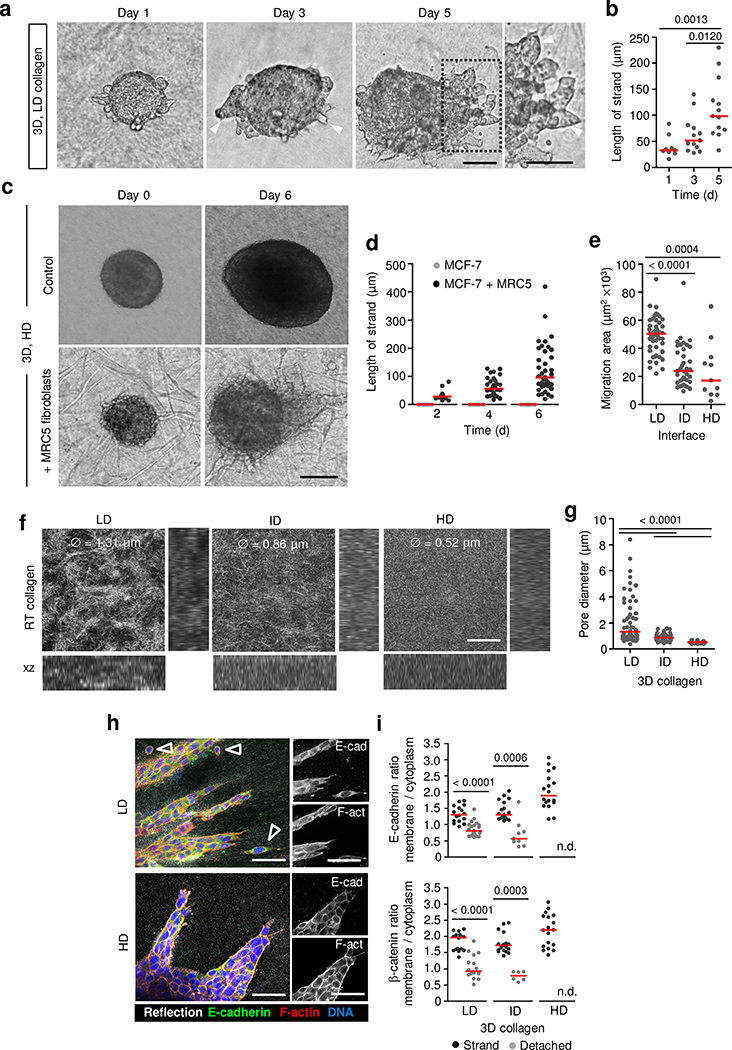 Extended Data Fig. 2.