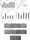 Fig. 6.