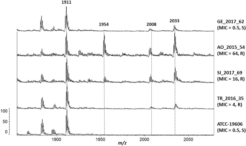 FIGURE 2