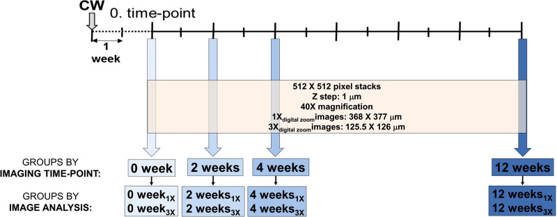 Fig. 3.