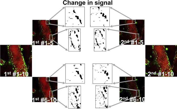 Fig. 6.