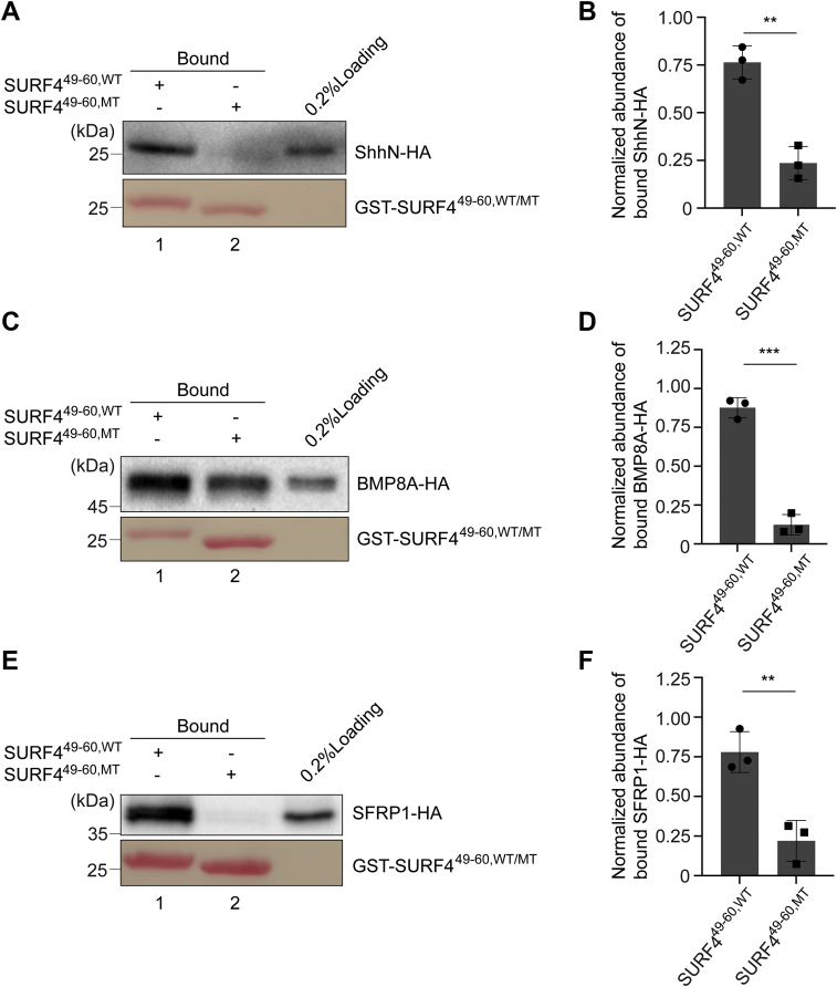 Figure 4