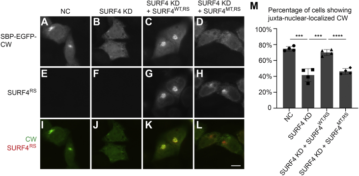 Figure 6