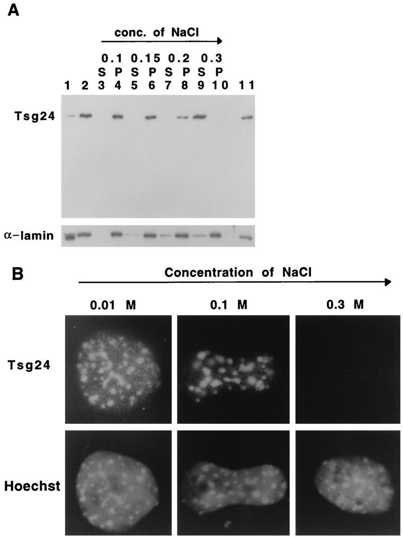 FIG. 6