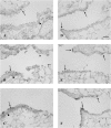 FIG. 9.