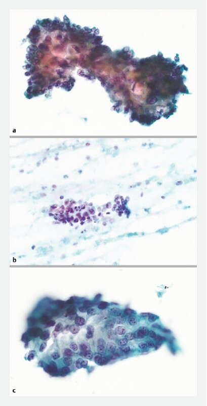 Fig. 2