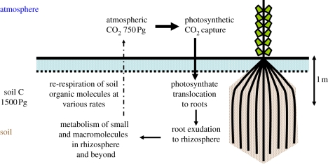 Figure 2.