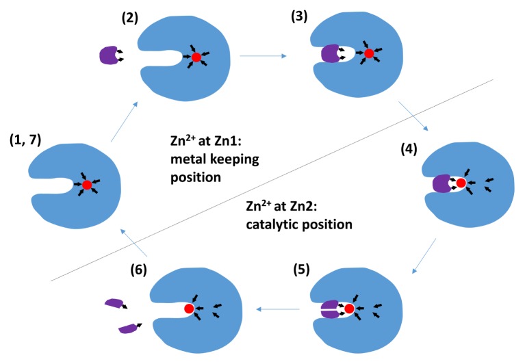 Fig. 4