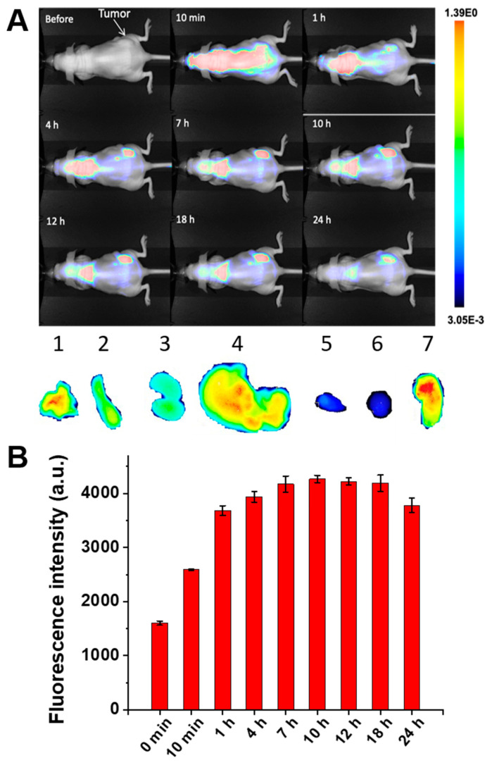 Figure 7