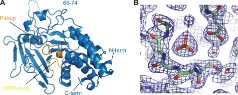 FIGURE 4.