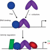 Figure 3.1