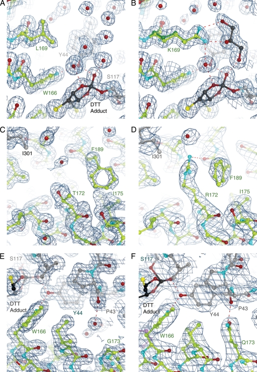 Fig. 7