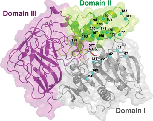 Fig. 1