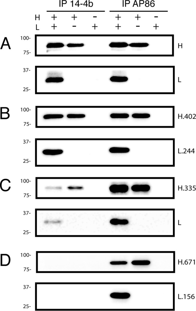 FIG 3