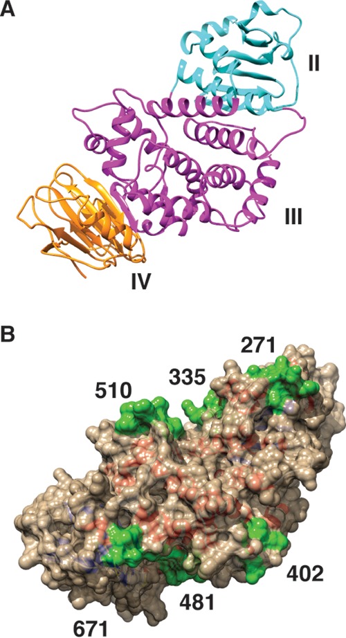 FIG 9