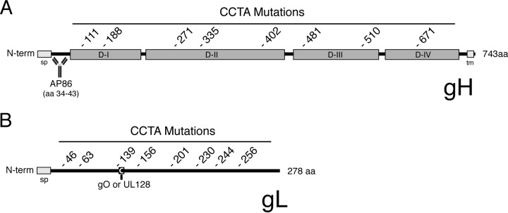 FIG 1