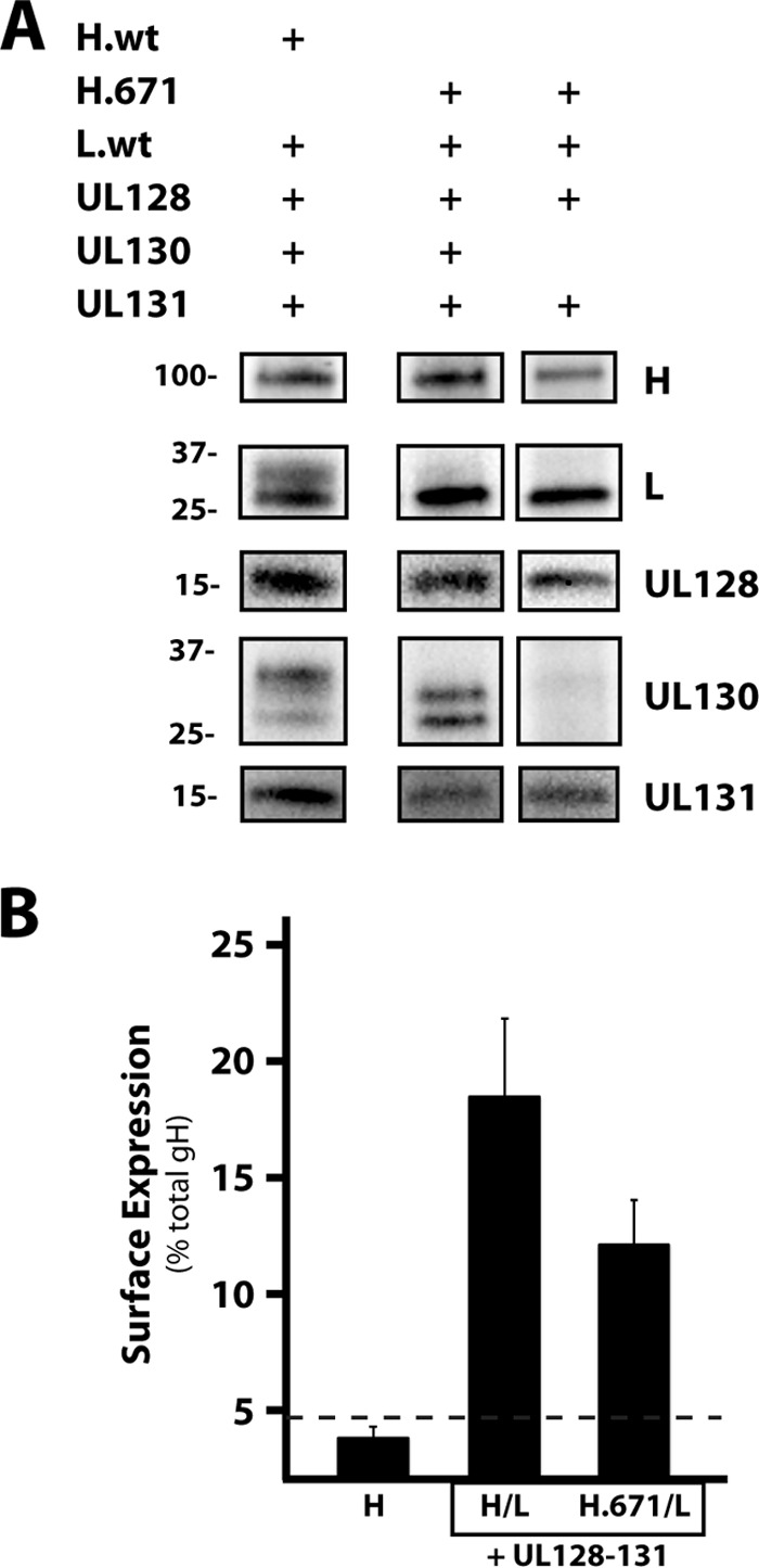 FIG 6