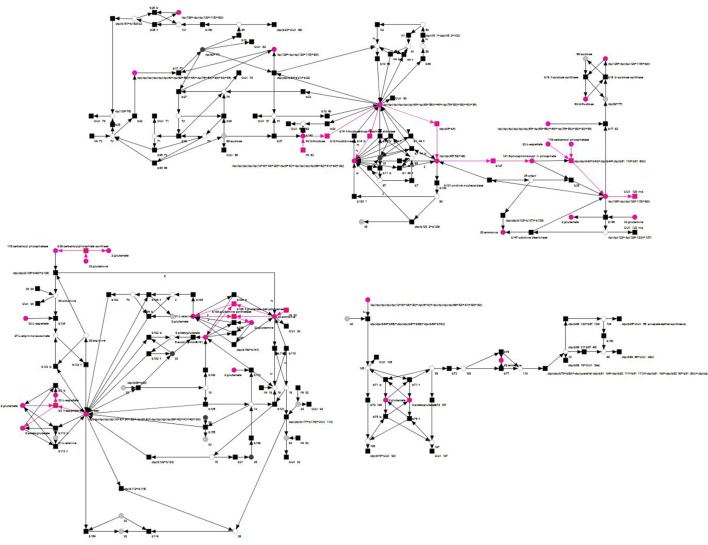 Figure 14