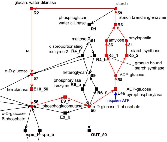 Figure 13