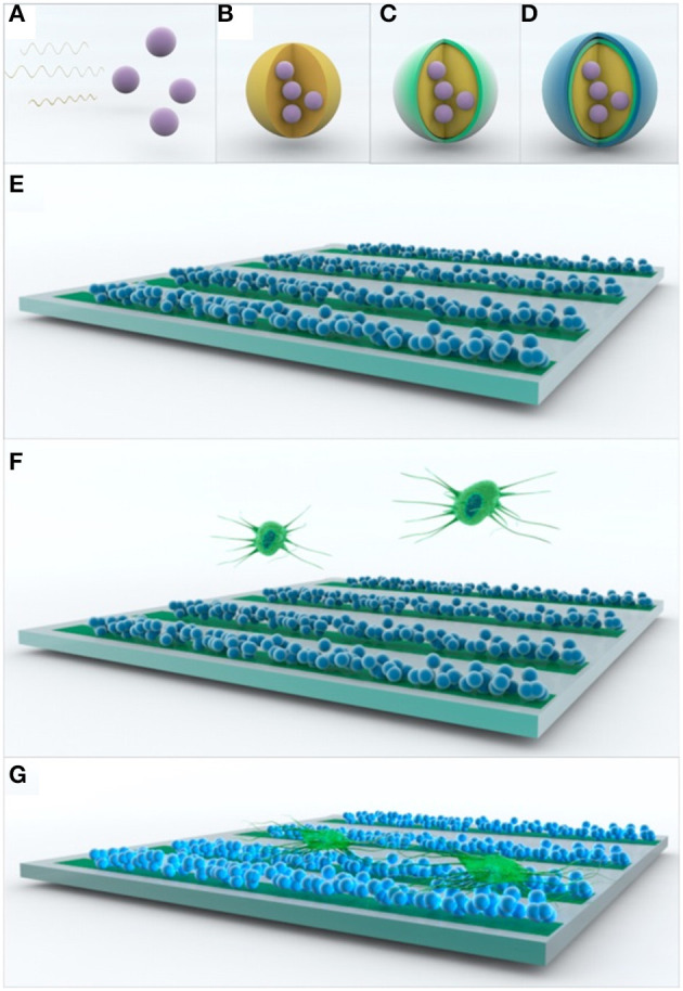 Figure 9