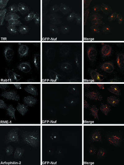 Figure 10.