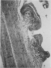 86-3
