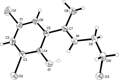 Fig. 1.