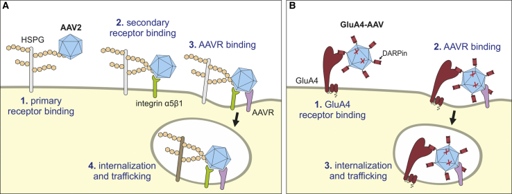 Figure 4