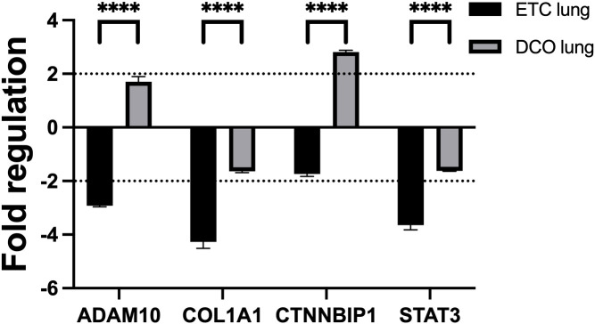 Figure 5